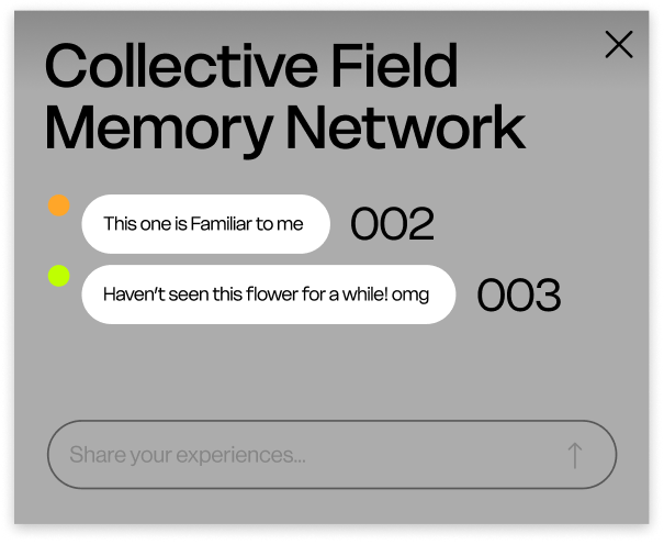 Popup 4
